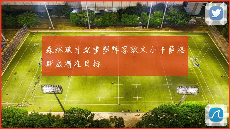 森林狼计划重塑阵容欧文小卡萨格斯成潜在目标